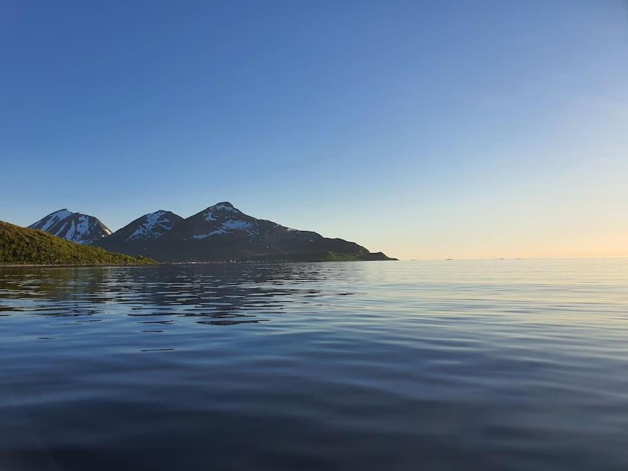Arctic Lodge Tromvik With Jacuzzi ทรอมโซ ภายนอก รูปภาพ